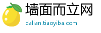 墙面而立网
